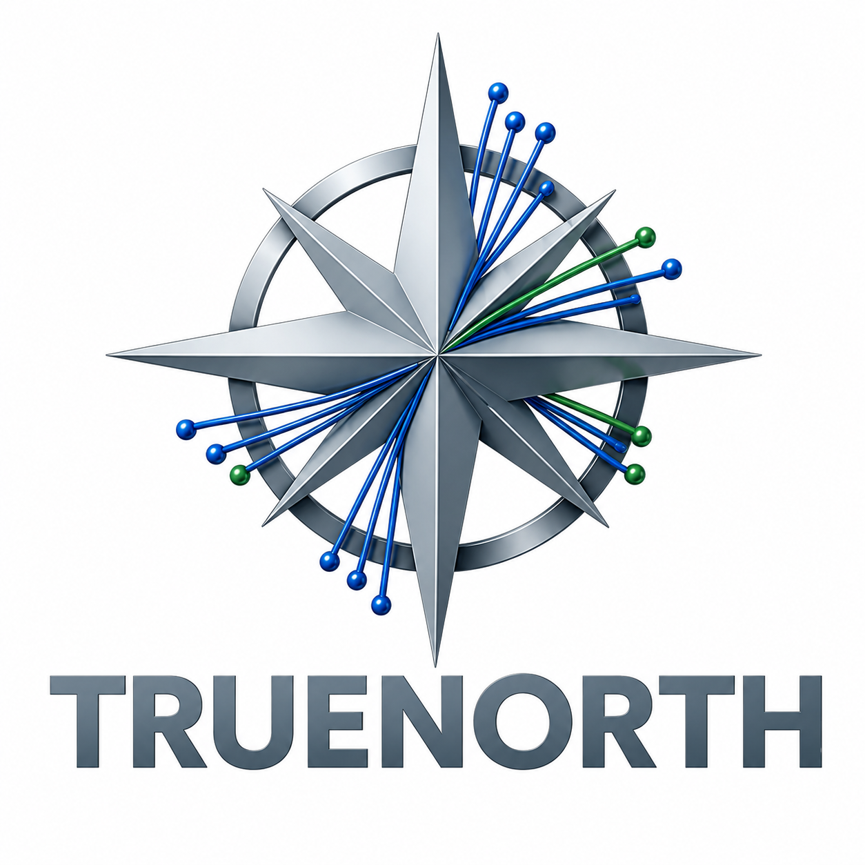 TrueNorth Consulting Group logo